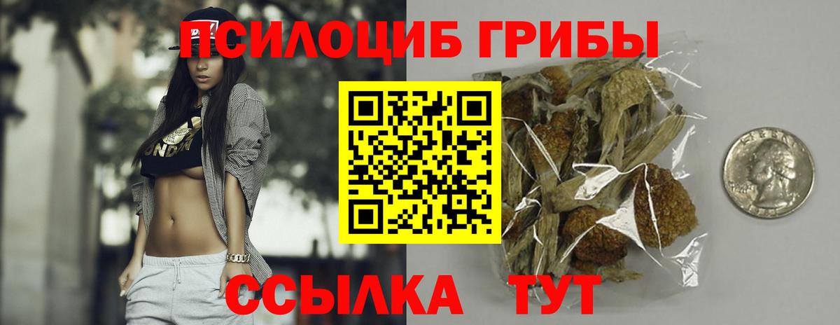 Псилоцибиновые грибы Psilocybine cubensis Кстово